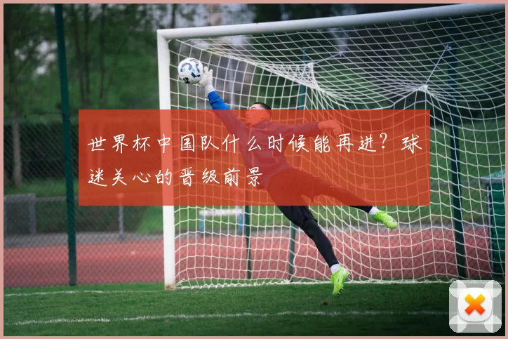 世界杯中国队什么时候能再进？球迷关心的晋级前景