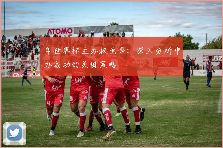 年世界杯主办权竞争：深入分析申办成功的关键策略