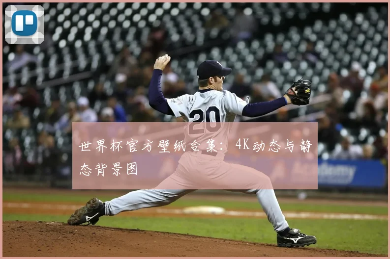 世界杯官方壁纸合集：4K动态与静态背景图