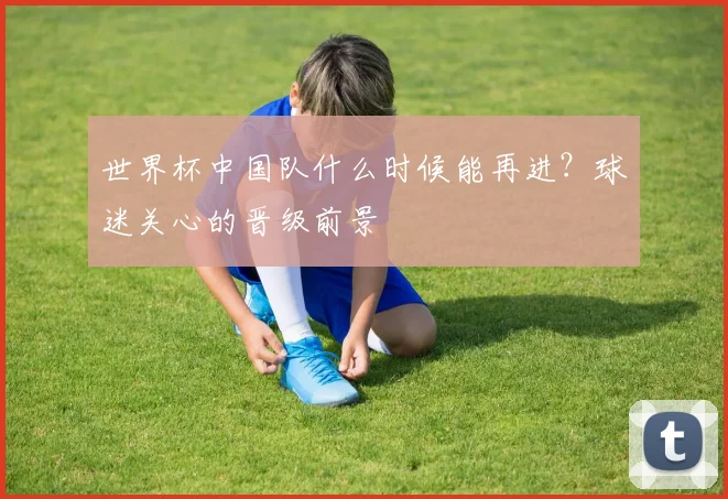 世界杯中国队什么时候能再进?球迷关心的晋级前景